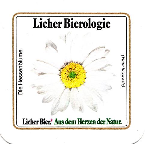 lich gi-he licher biero bfr lo ov 4b (quad185-die hessenblume)